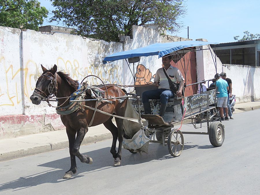 horse cart