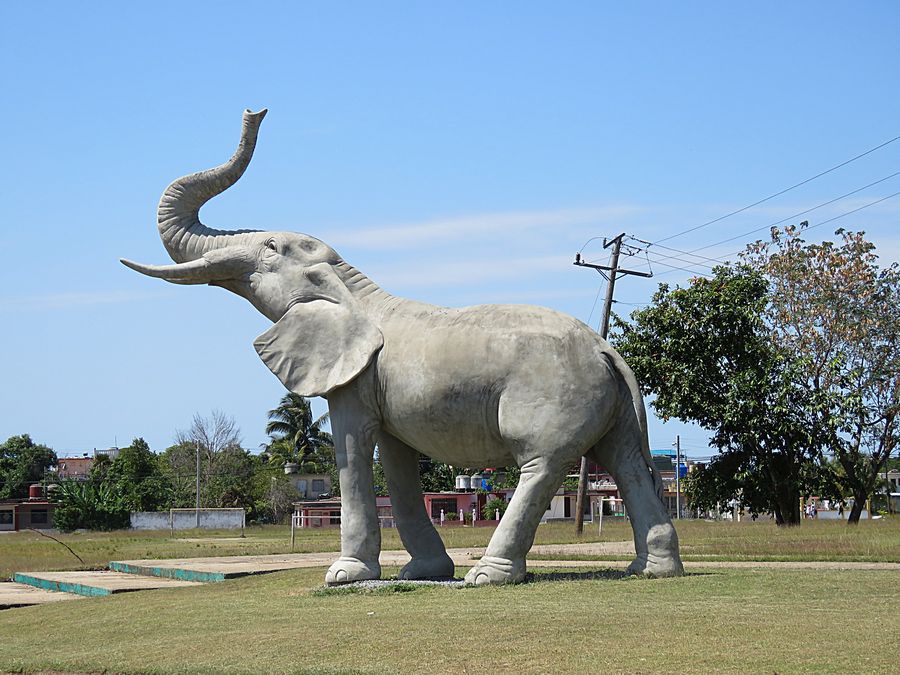 elephant statue