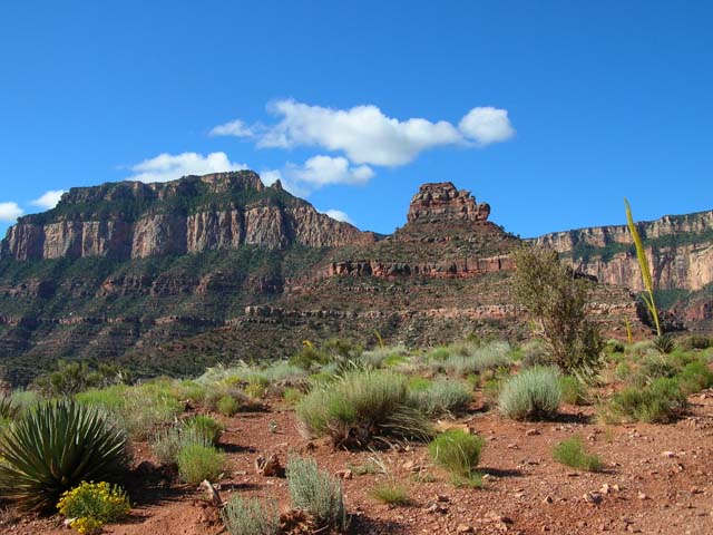 South Rim