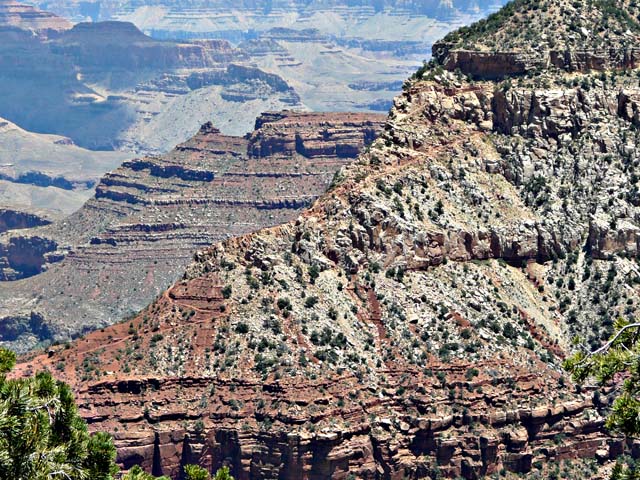 Trail view