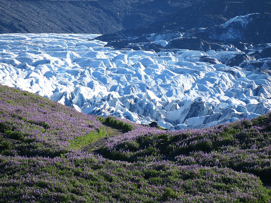 glacier closeup