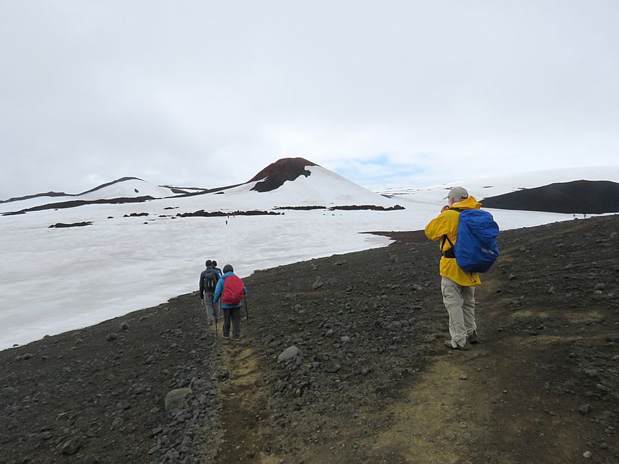 snow field