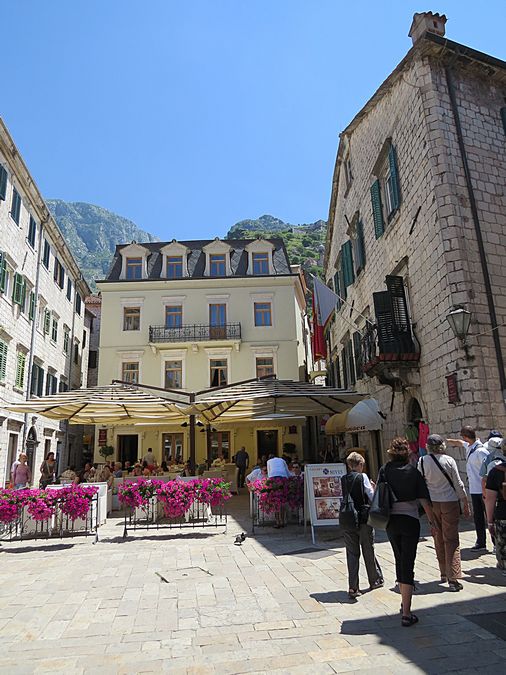 Kotor