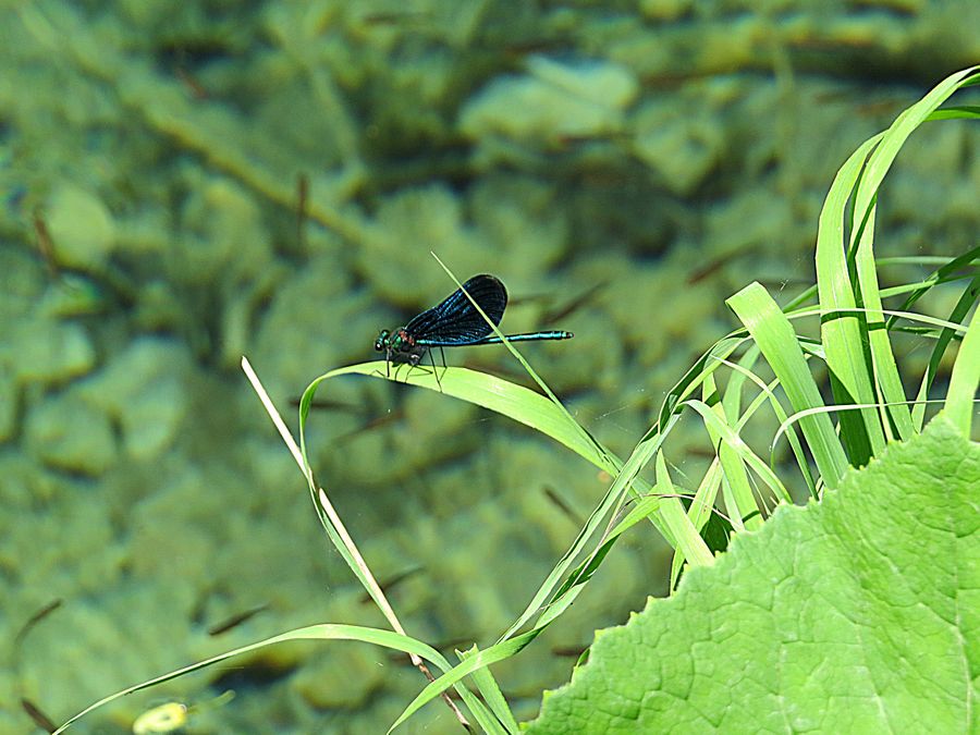 Plitvice