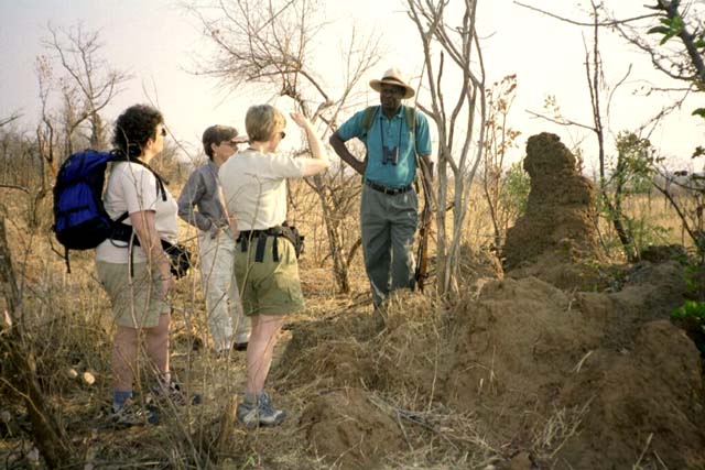 On a walking safari - termite mound