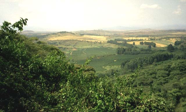 The landscape near Gibbs Farm