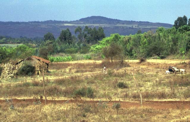 Farm land near Gibbs Farm