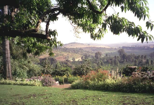 View from Gibbs Farm