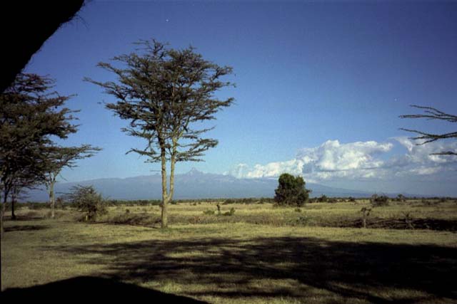 View from our tent