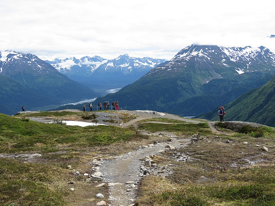 Exit Glacier trail