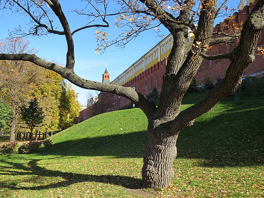 Kremlin Wall