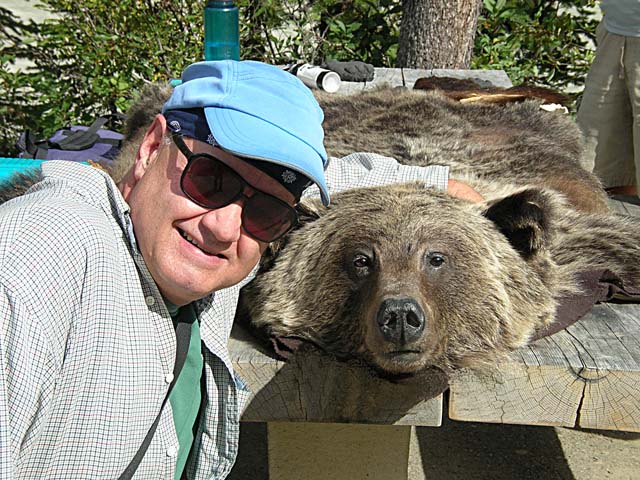 Friendly bear