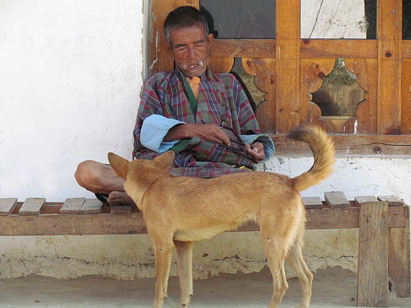 old man & stray dog