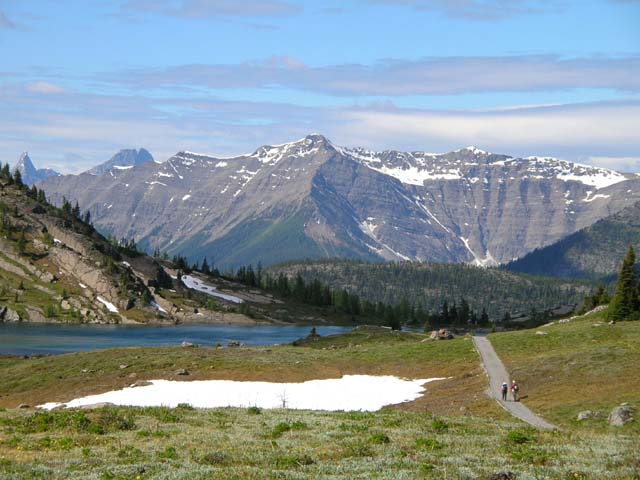 Sunshine Meadows view