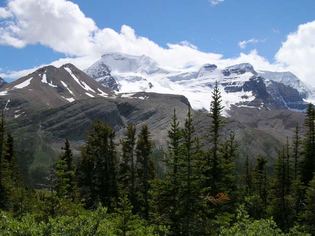 View of Mt. Athabasca