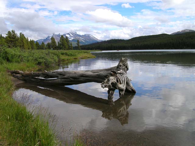 Maligne Lake