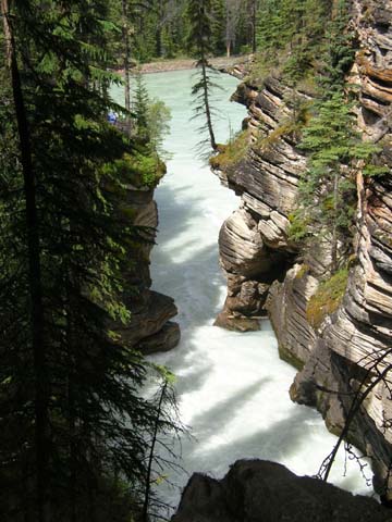 Athabasca River