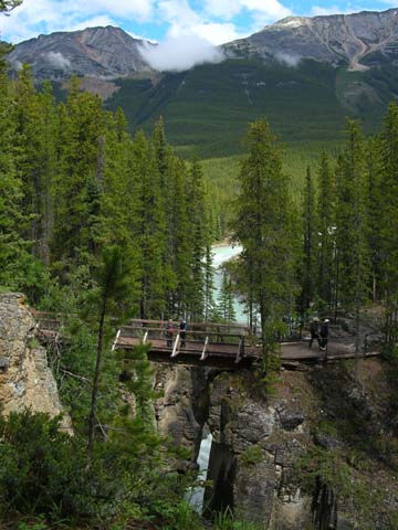 Sunwapta Falls