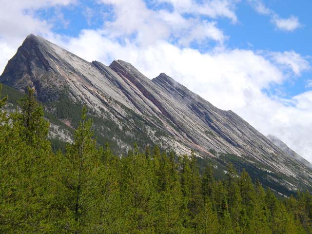 View from Icefields Parkway