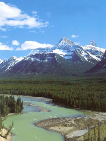 Athabasca River Valley