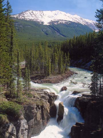 Sunwapta Falls