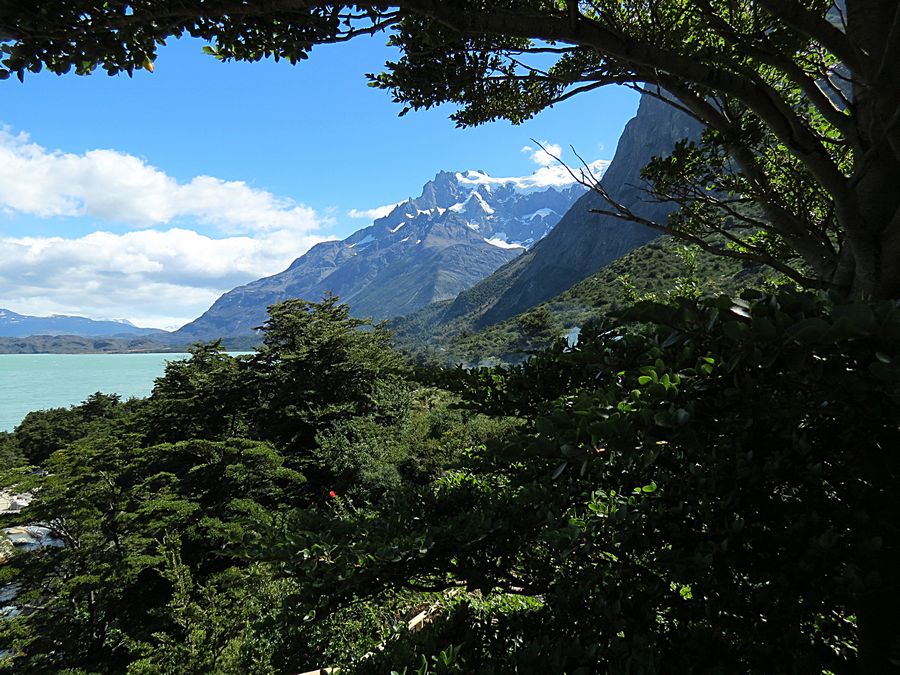 Glacier view