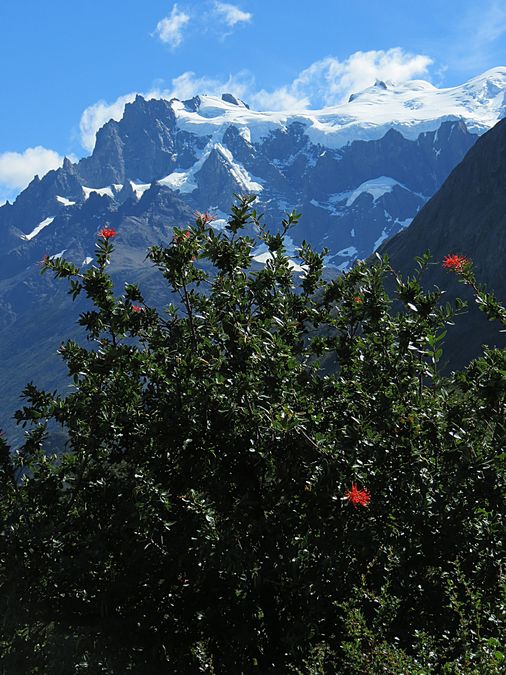 Glacier and mountain