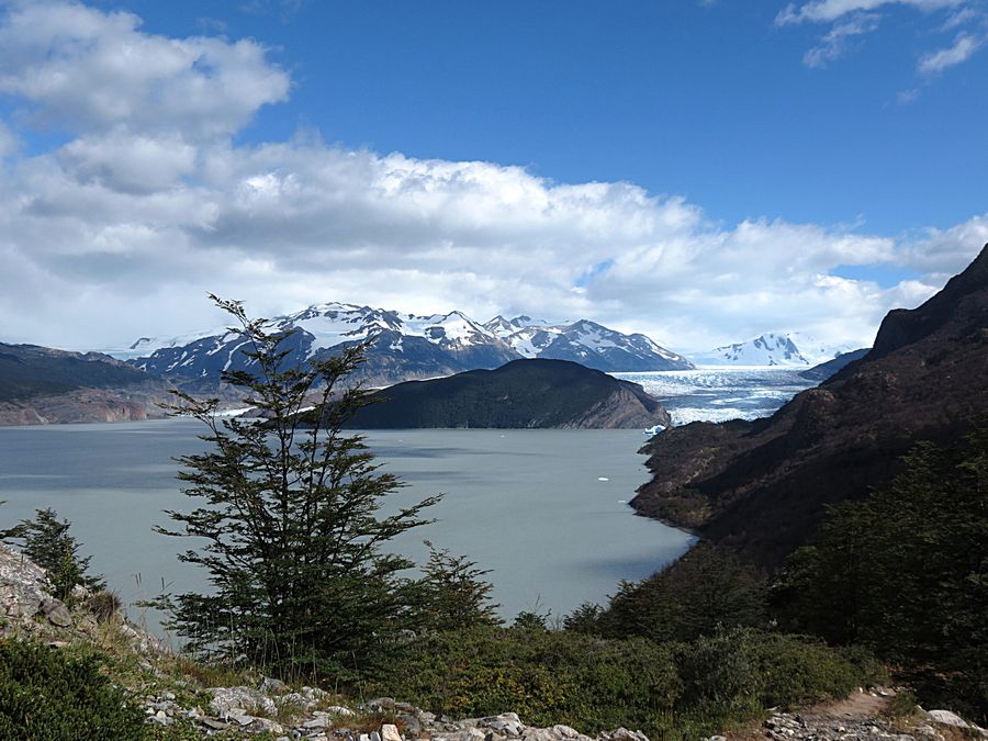 Grey Glacier