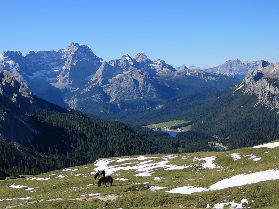 Cortina