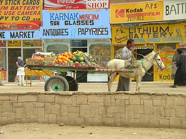 donkey cart