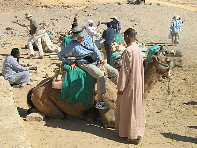 Margaret on camel