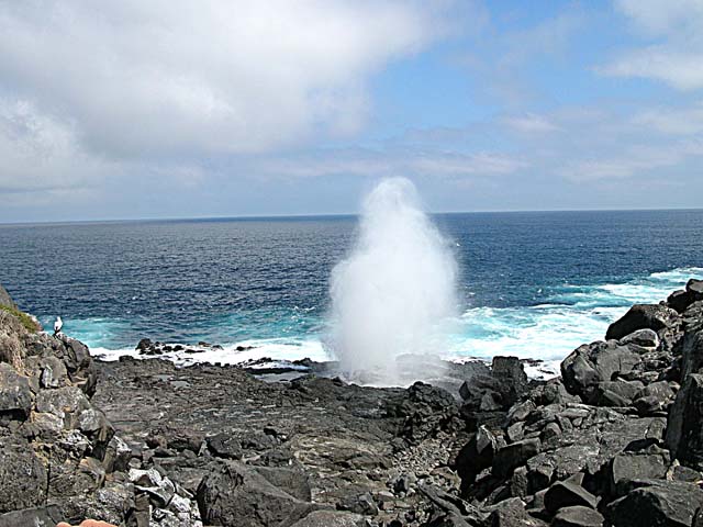 Blowhole