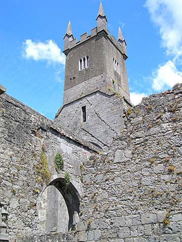 Ennis Friary