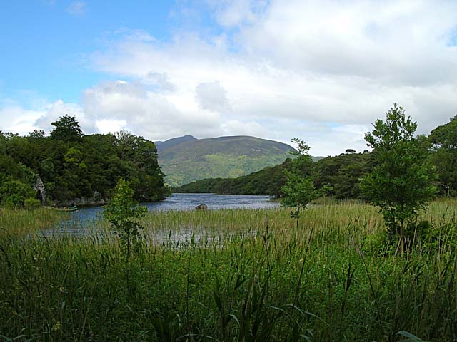 Muckross House grounds