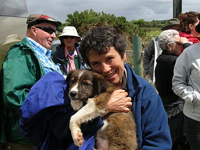 Pat and sheep dog puppy