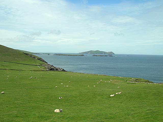 Blasket