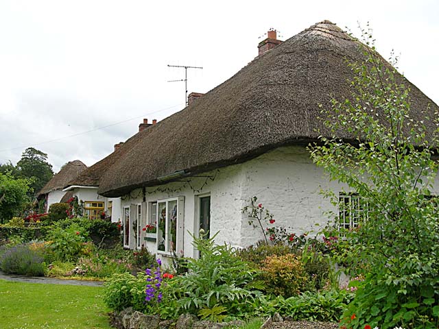 Thatched roof