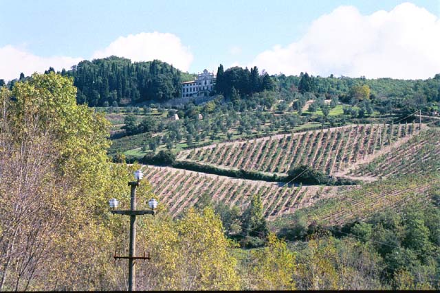 A large estate in Tuscany