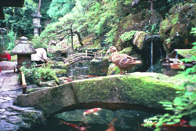 Outdoor garden of a small coffee shop near Kiyomizu Temple in Kyoto