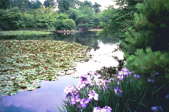 Ryoanji Temple gardens in Kyoto