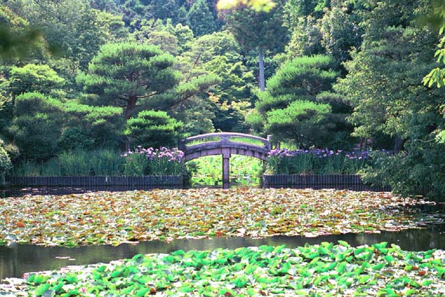 Ryoanji Temple Gardens