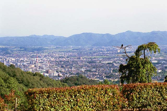 View of Matsumoto from Alps Park