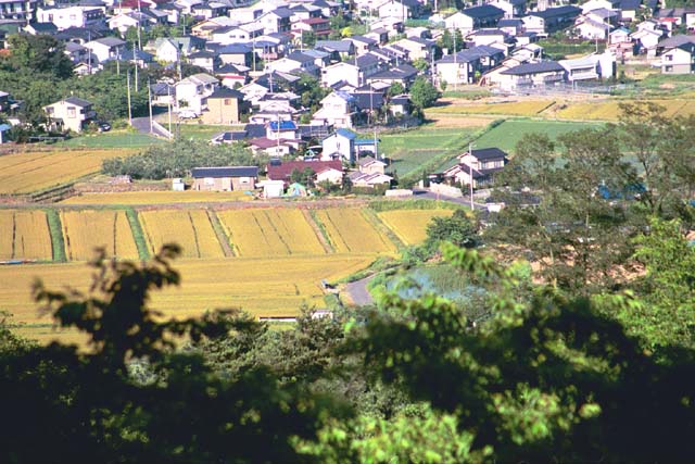 Farm land near Matsumoto from  Alps Park