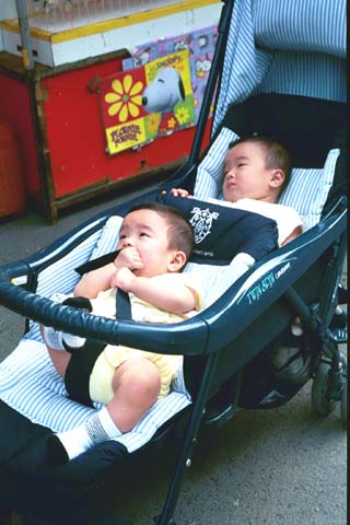 Twins in stroller