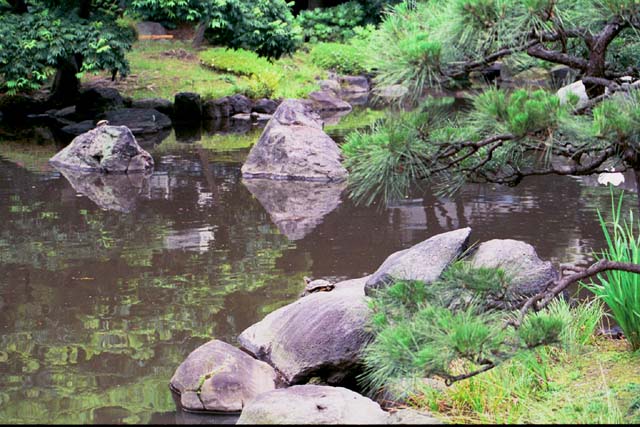 Furukawa Mansion - Japanese Garden