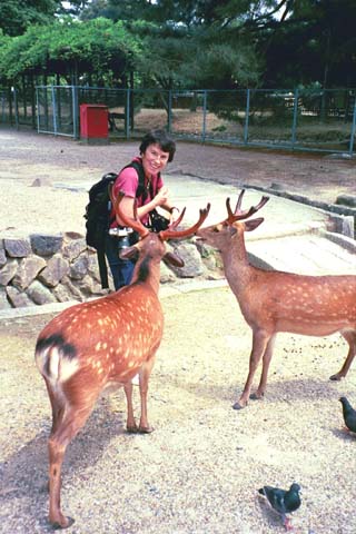 Pat feeding deer in Nara