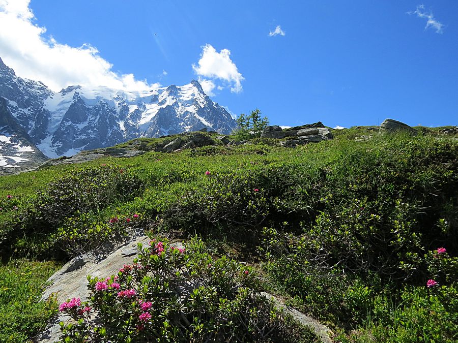 Aiguille du Midi