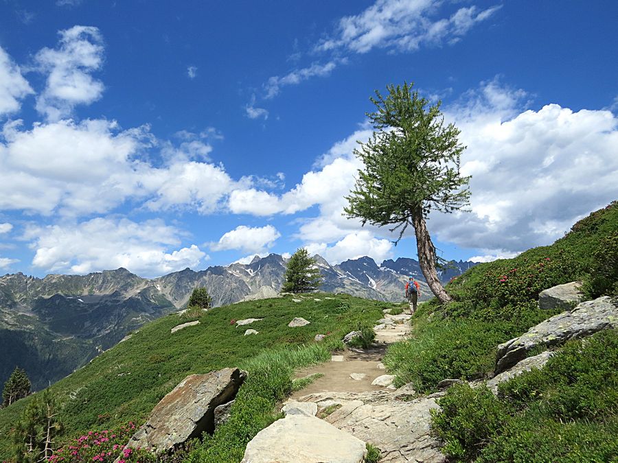 Trail view