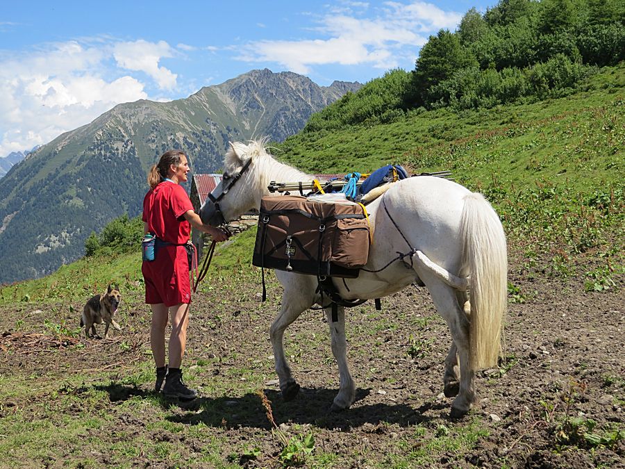 woman with horse