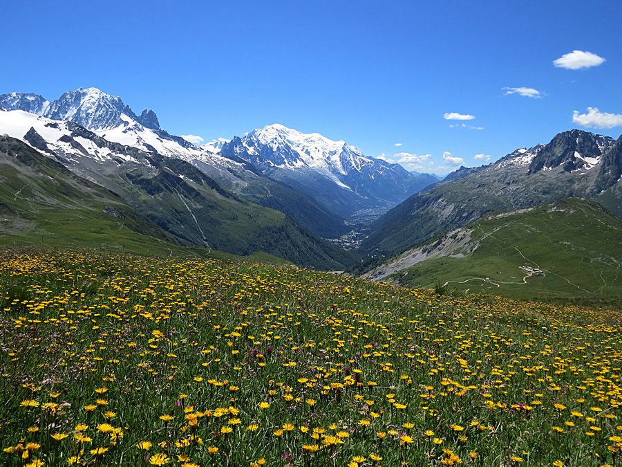 Mont Blanc